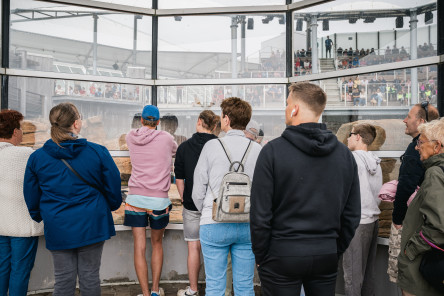 Public sur le village et les pontons de la Course des Caps, Boulogne sur Mer Banque Populaire du Nord 2025.