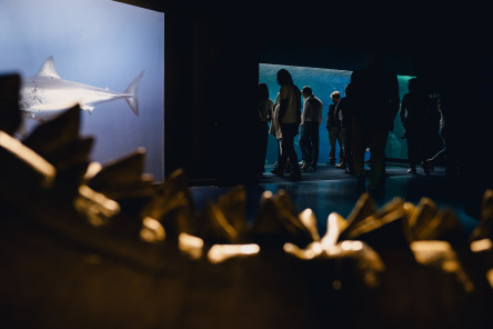 Soirée de présentation des skippers de la Course des Caps Boulogne sur Mer Banque Populaire du Nord 2025, dans Nausicaa, partenaire de la course, à  Boulogne sur Mer.