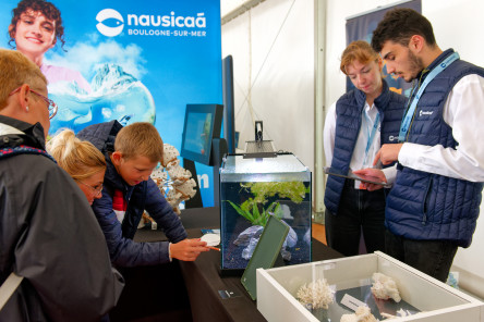 Course des Caps - Boulogne sur Mer - Banque Populaire du Nord 2025 --- Ambiances village