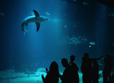  20240624_Soiree_Nausicaa